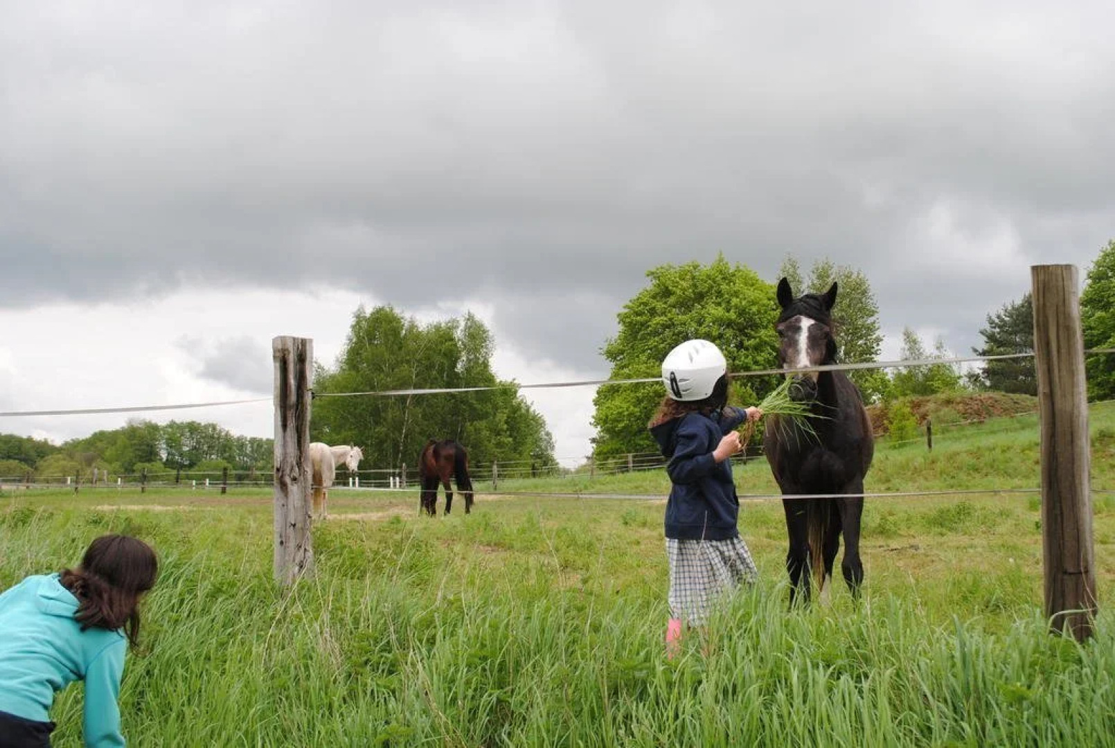 Landgasthaus Mühlenberg