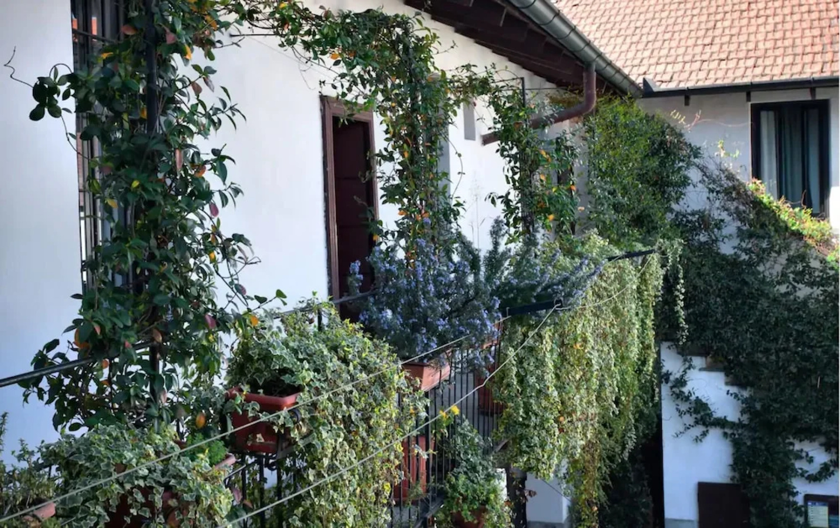 Room in Apartment - Studio Flat 15 Min From Milancenter