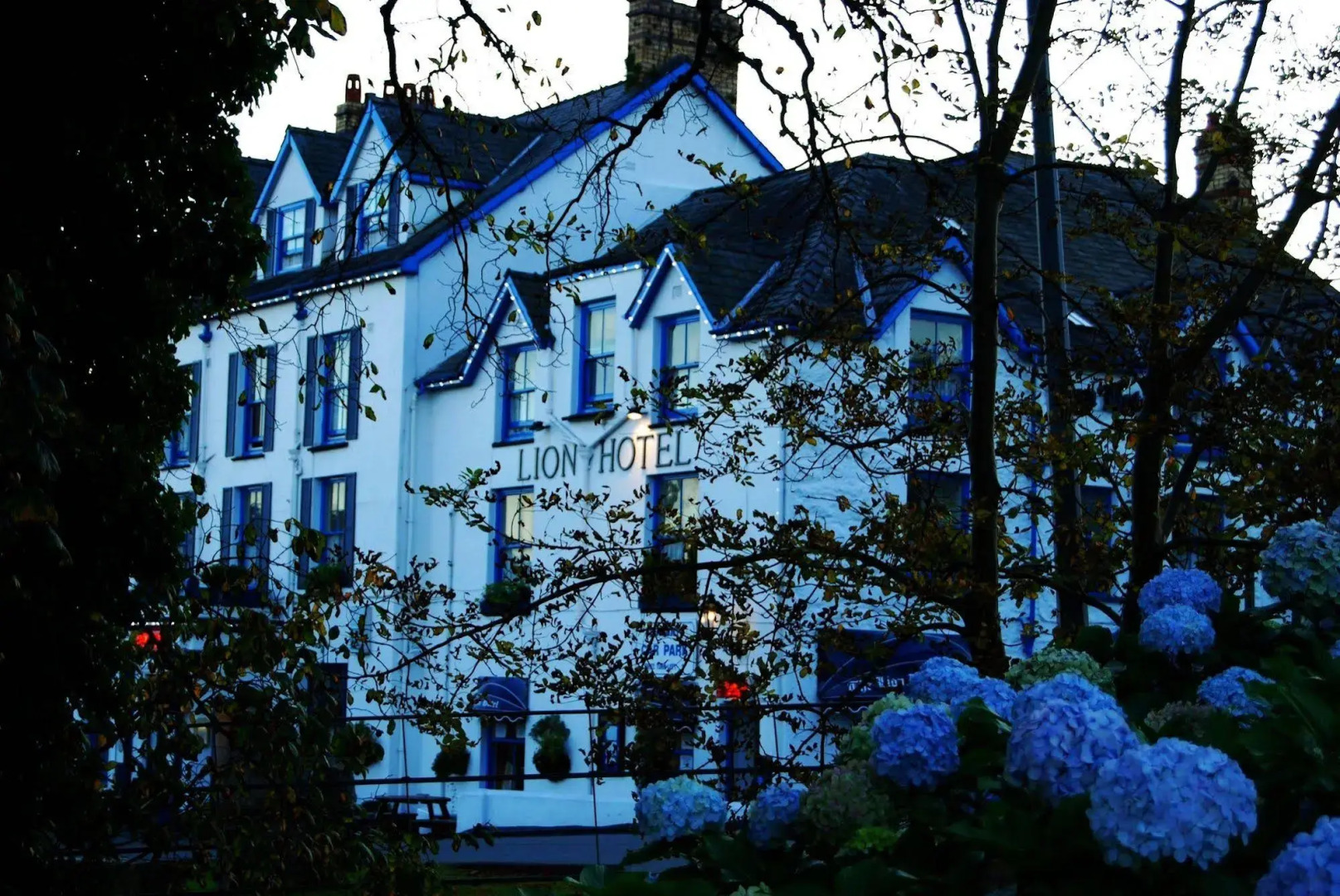 Lion Hotel and Studio Apartments