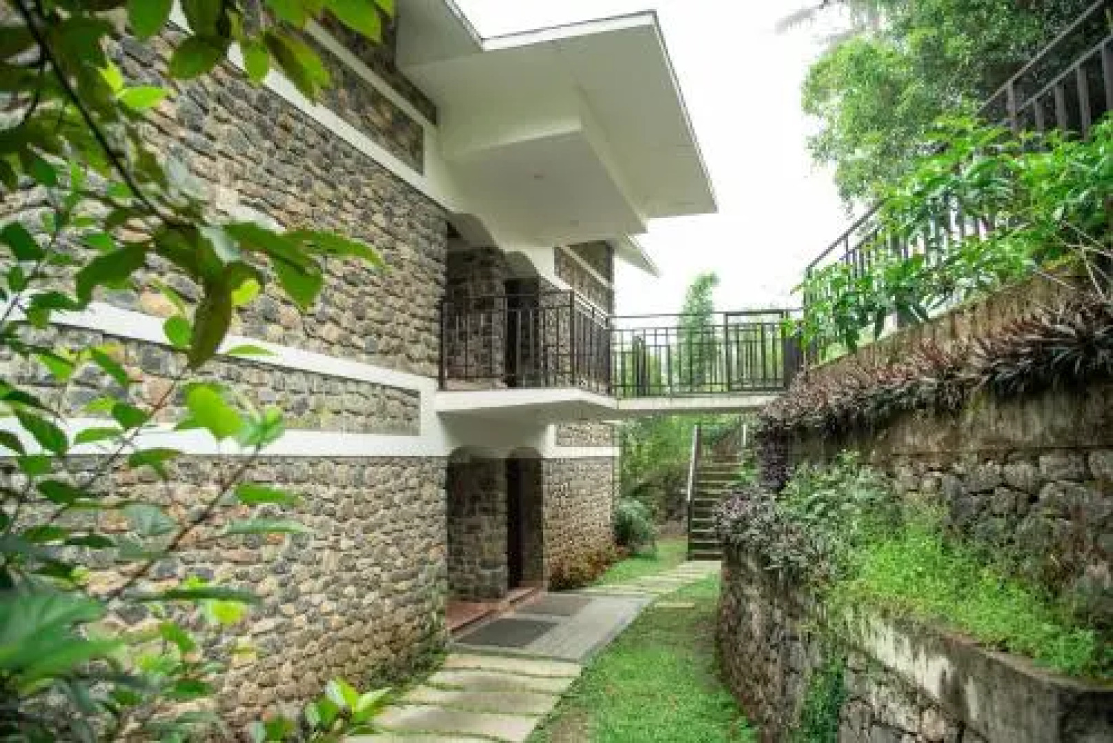 Misty Mountain Experience