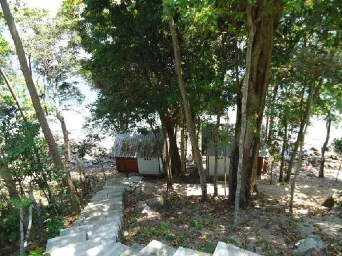 Treetop Guesthouse and Bungalows