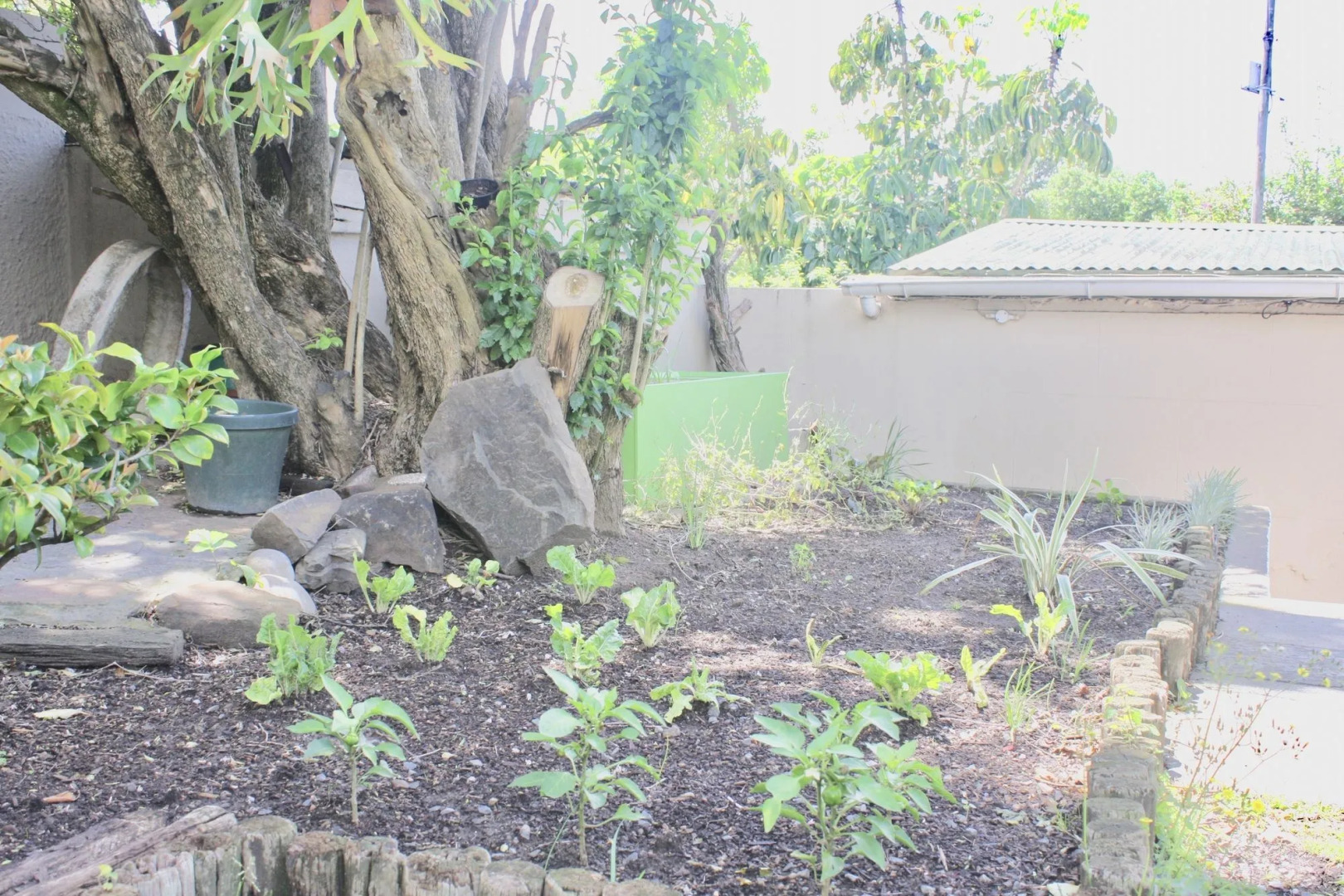 Selborne Bed and Breakfast