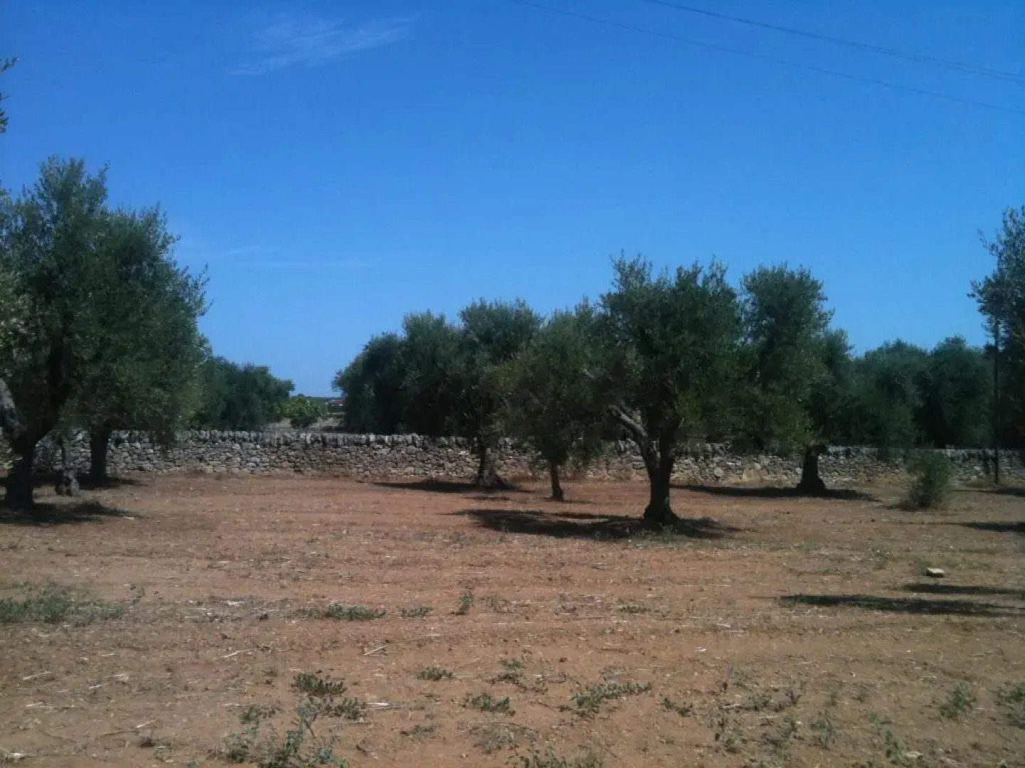 COOEE Surf House and Hospitality