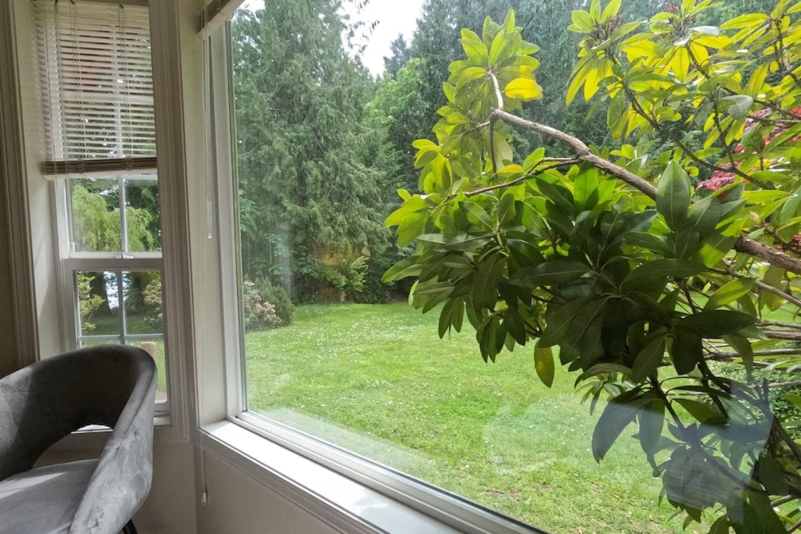 Sea La Vie Rare Peaceful Hidden Gem