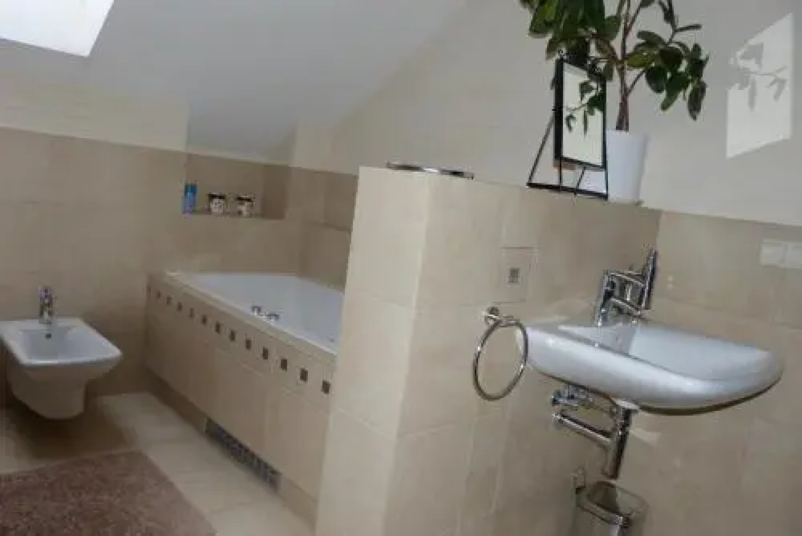 Dom z Ogrodem Ossowska