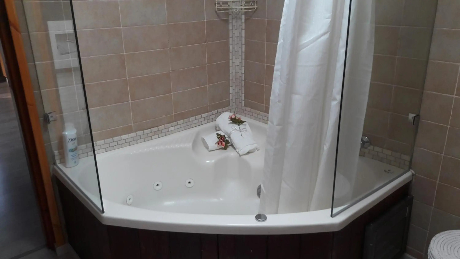 בין יער לים