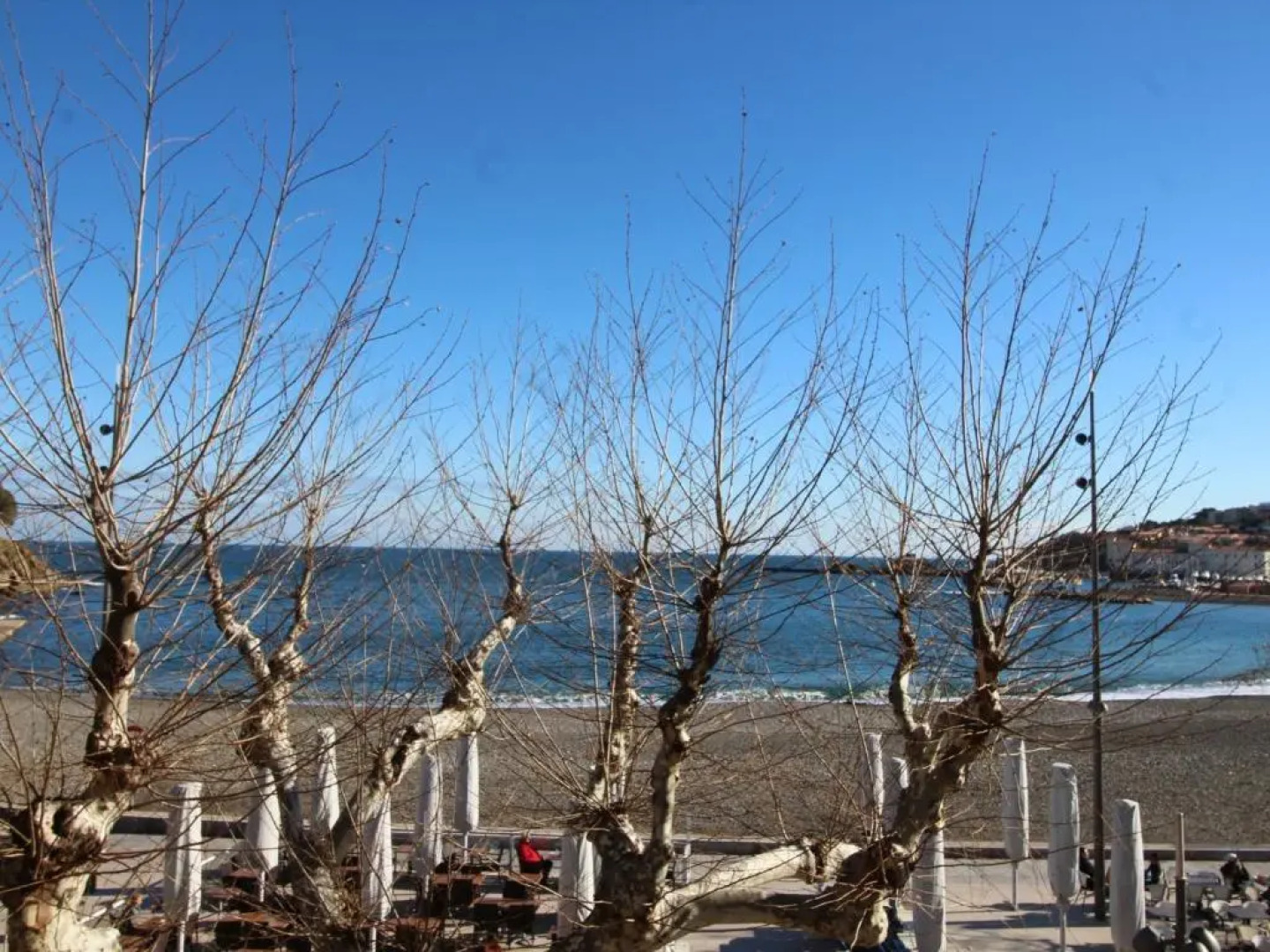 Appartement Banyuls-Sur-Mer, 3 Pièces, 4 Personnes - Fr-1-309-9