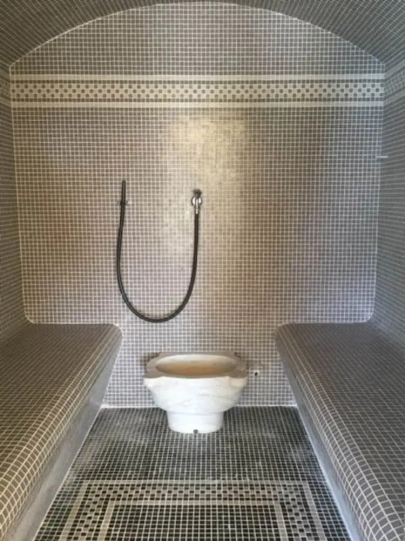 Le Club des Lézards