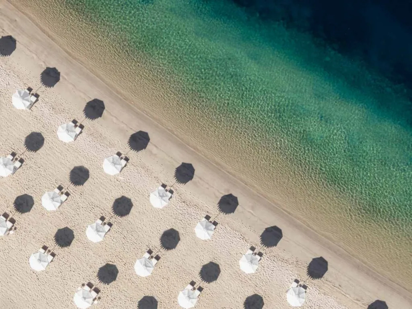 One & Only Portonovi