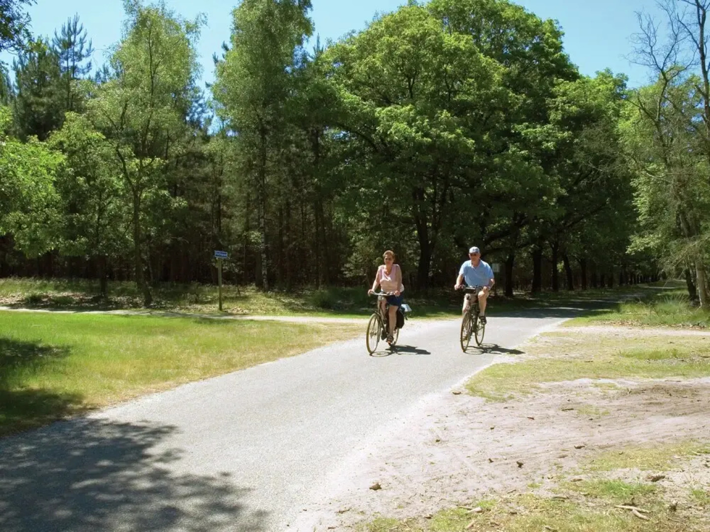 Furnished Chalet Located near Oisterwijkse Vennen