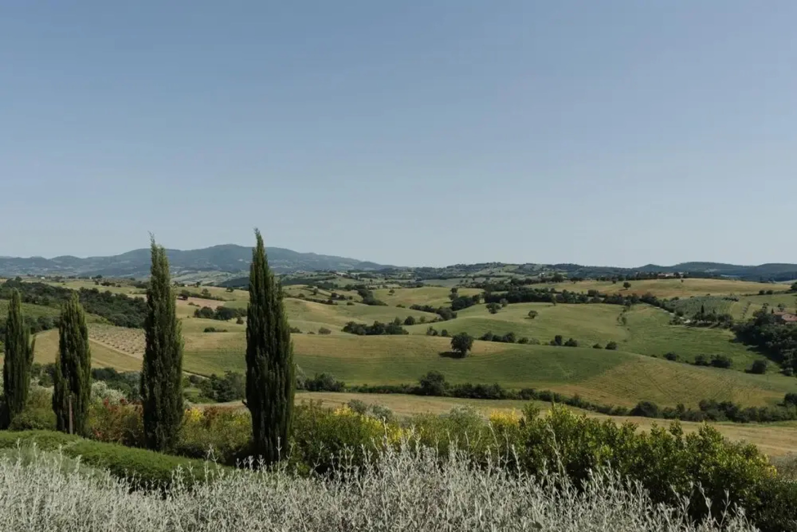 Tenuta Pianirossi