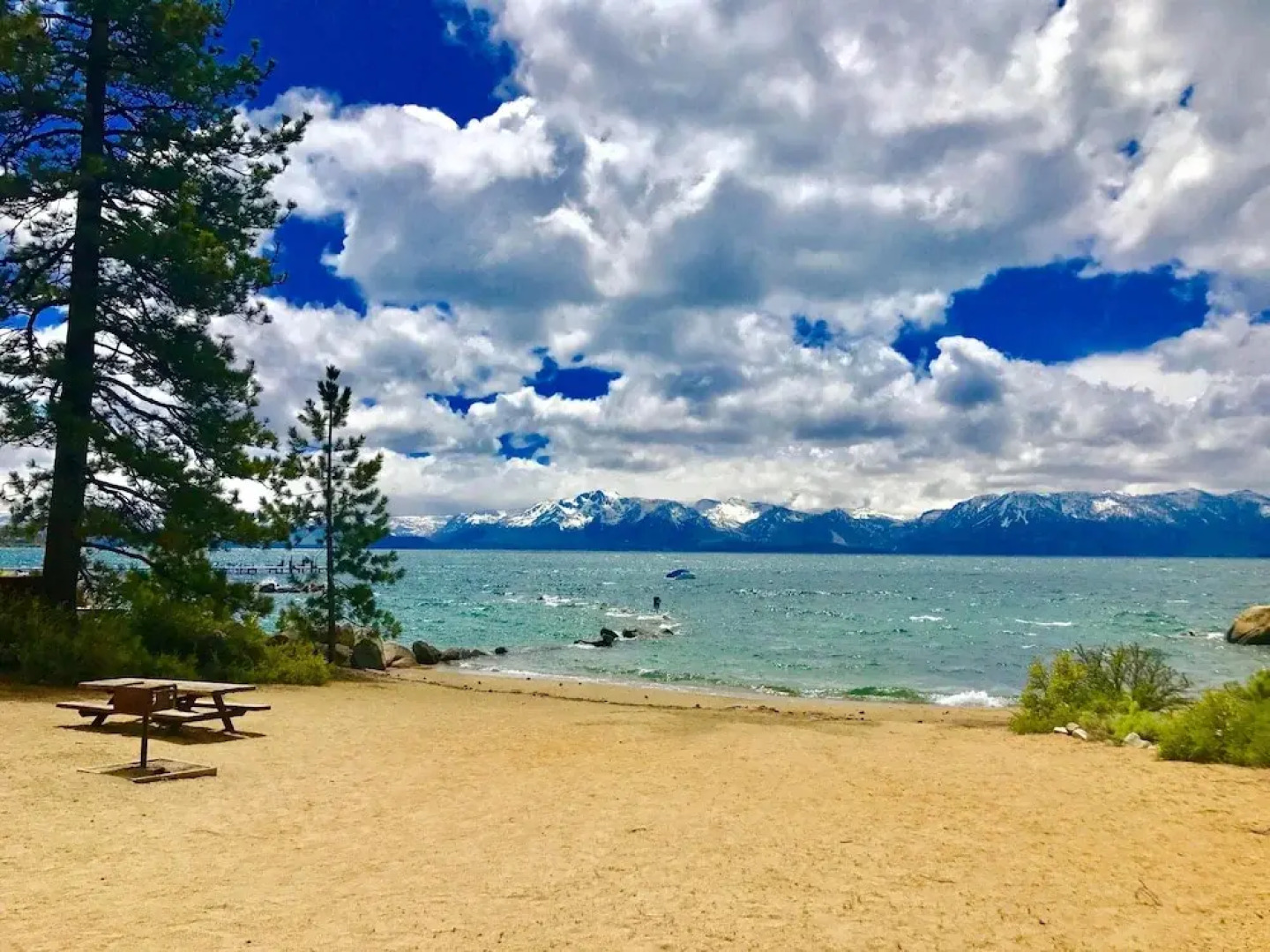 Month A Month Mv19 Willow