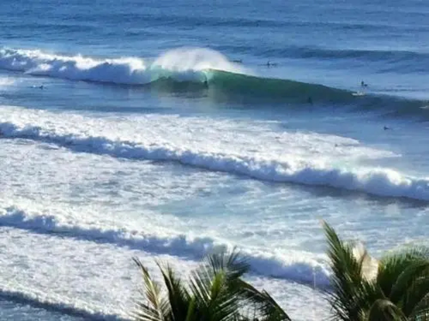 Orchid Tree Bed & Breakfast