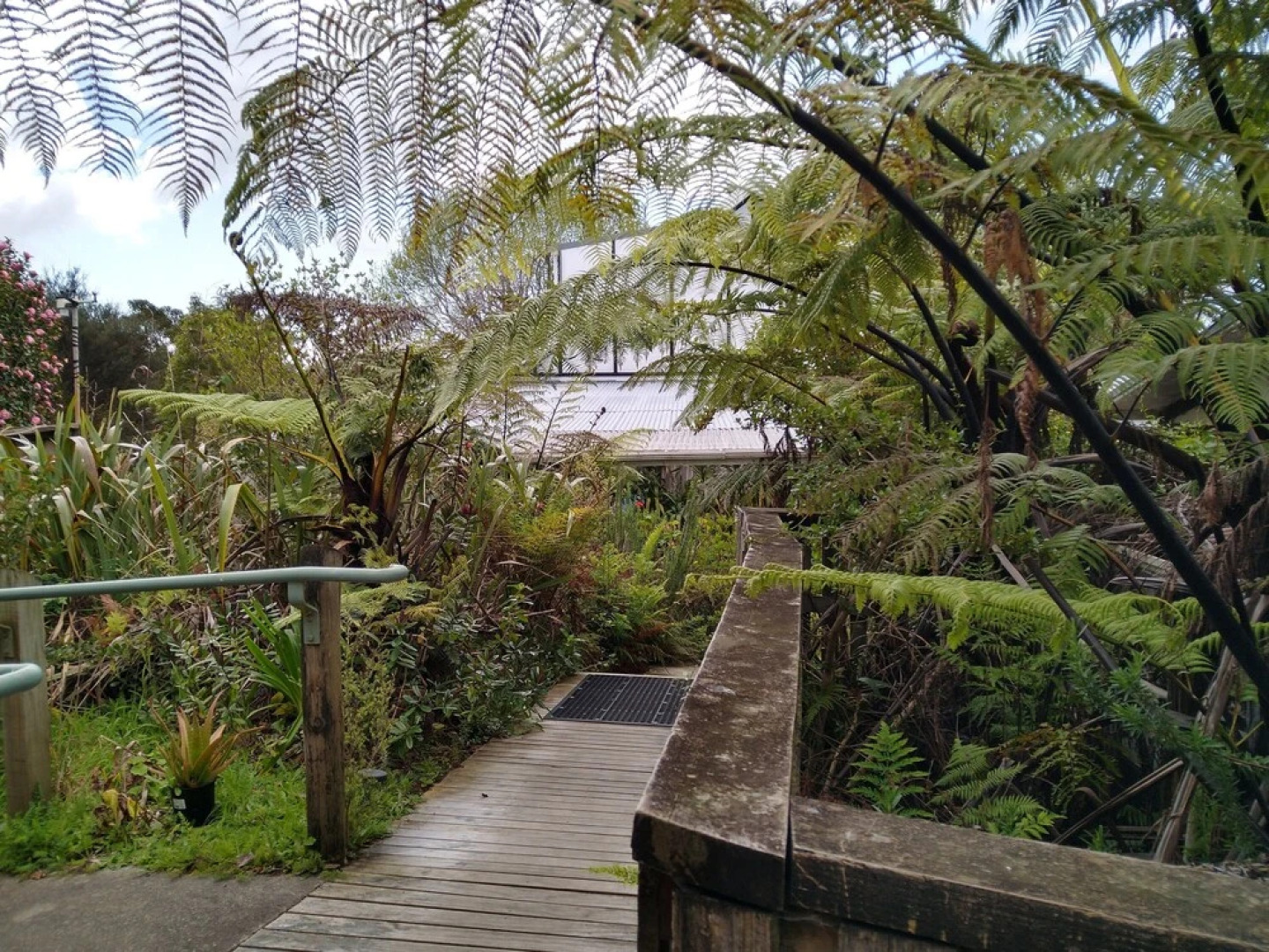 Purple Hen Bunk House - Hostel