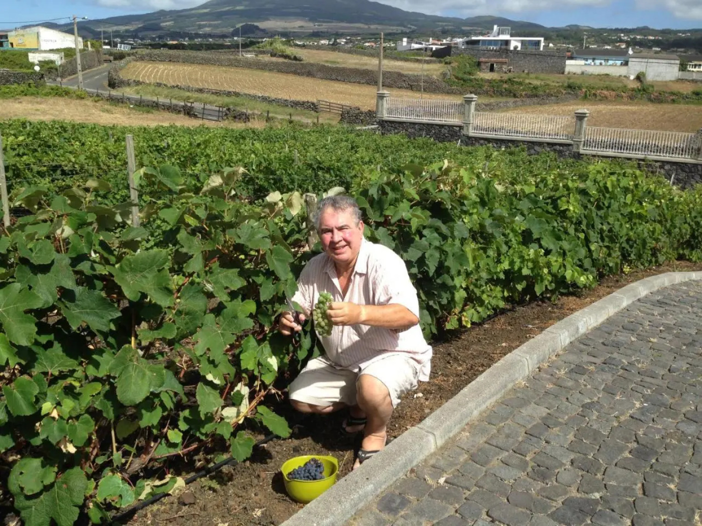 Vivenda Da Saudade B&B