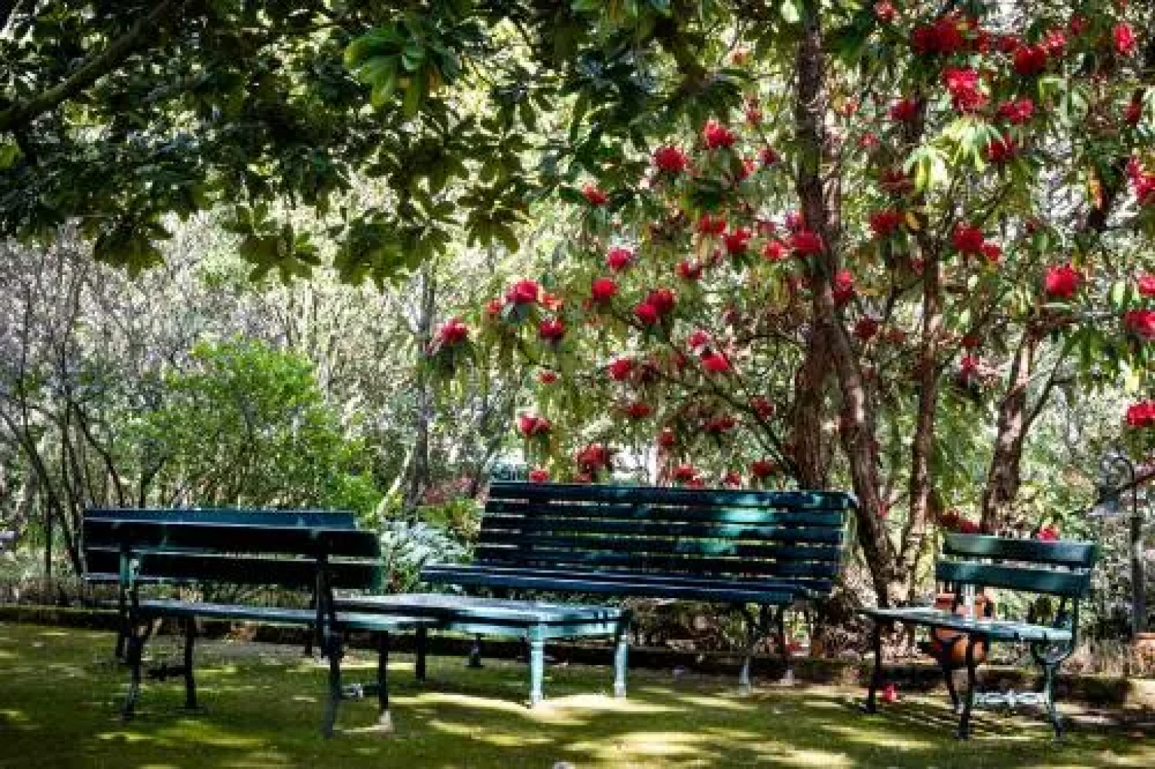 Quinta de Mourães Casa dos Rododendros