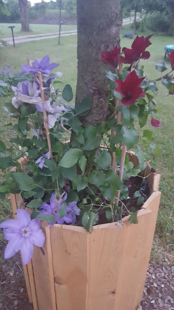 Toscana Restaurant and Bed & Breakfast