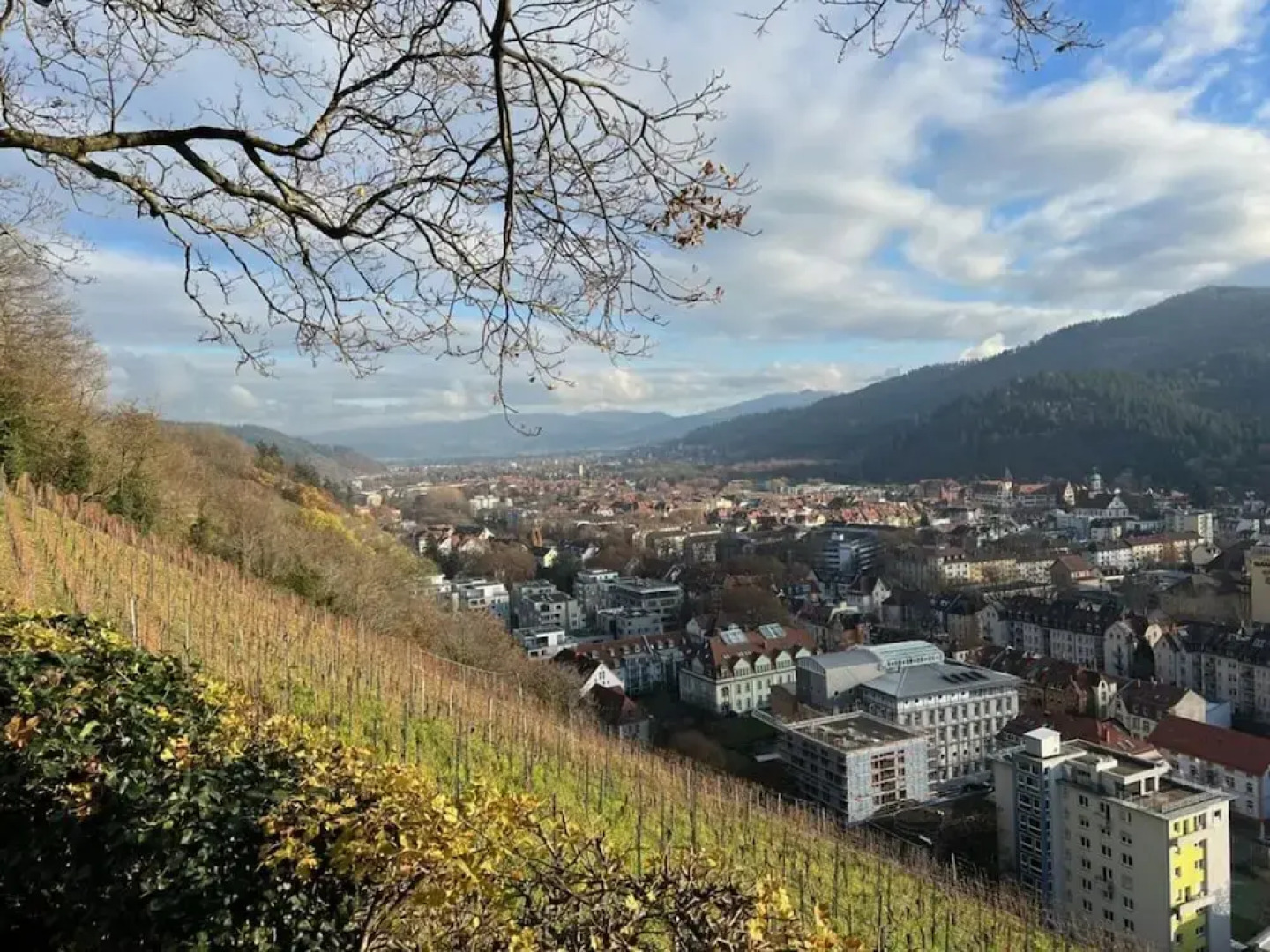 Savoir Vivre Modern Retreat