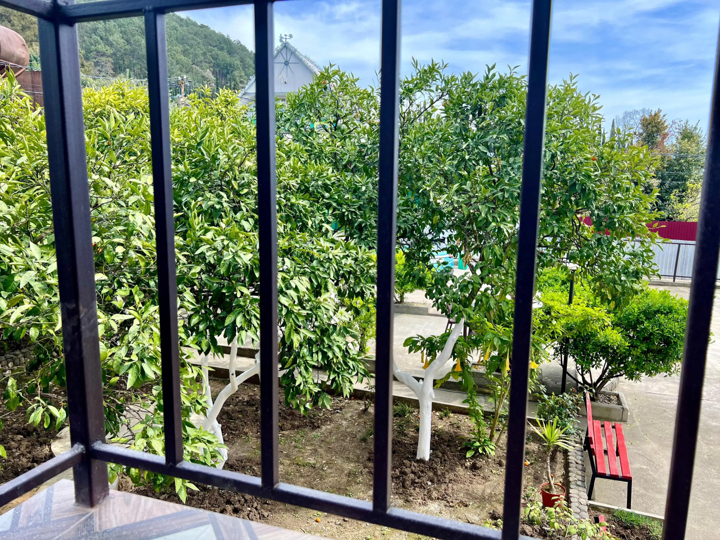 Стрелец (Цандрипш)