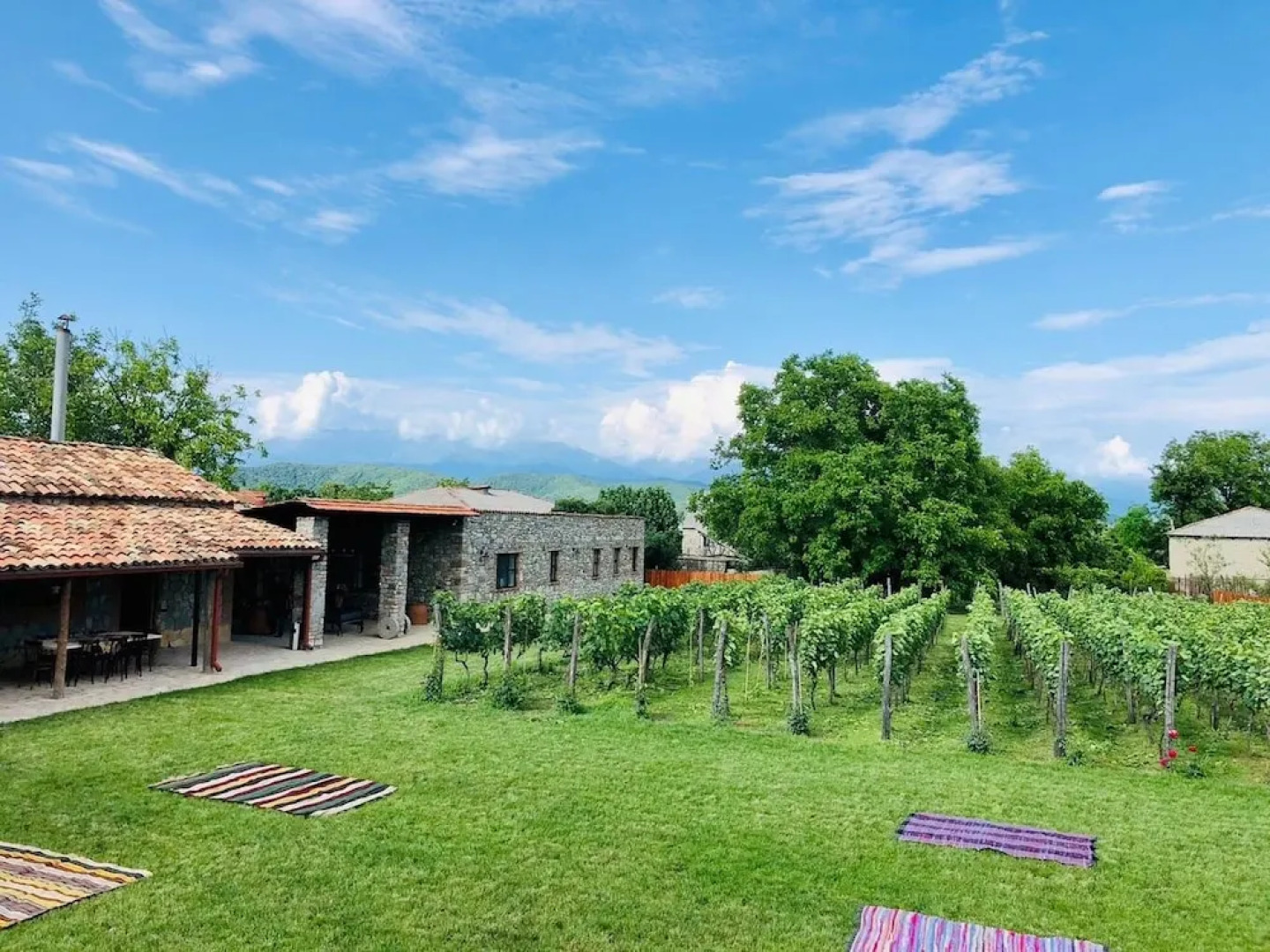 Отель Giorgi Ushikishvili Chateau Celler