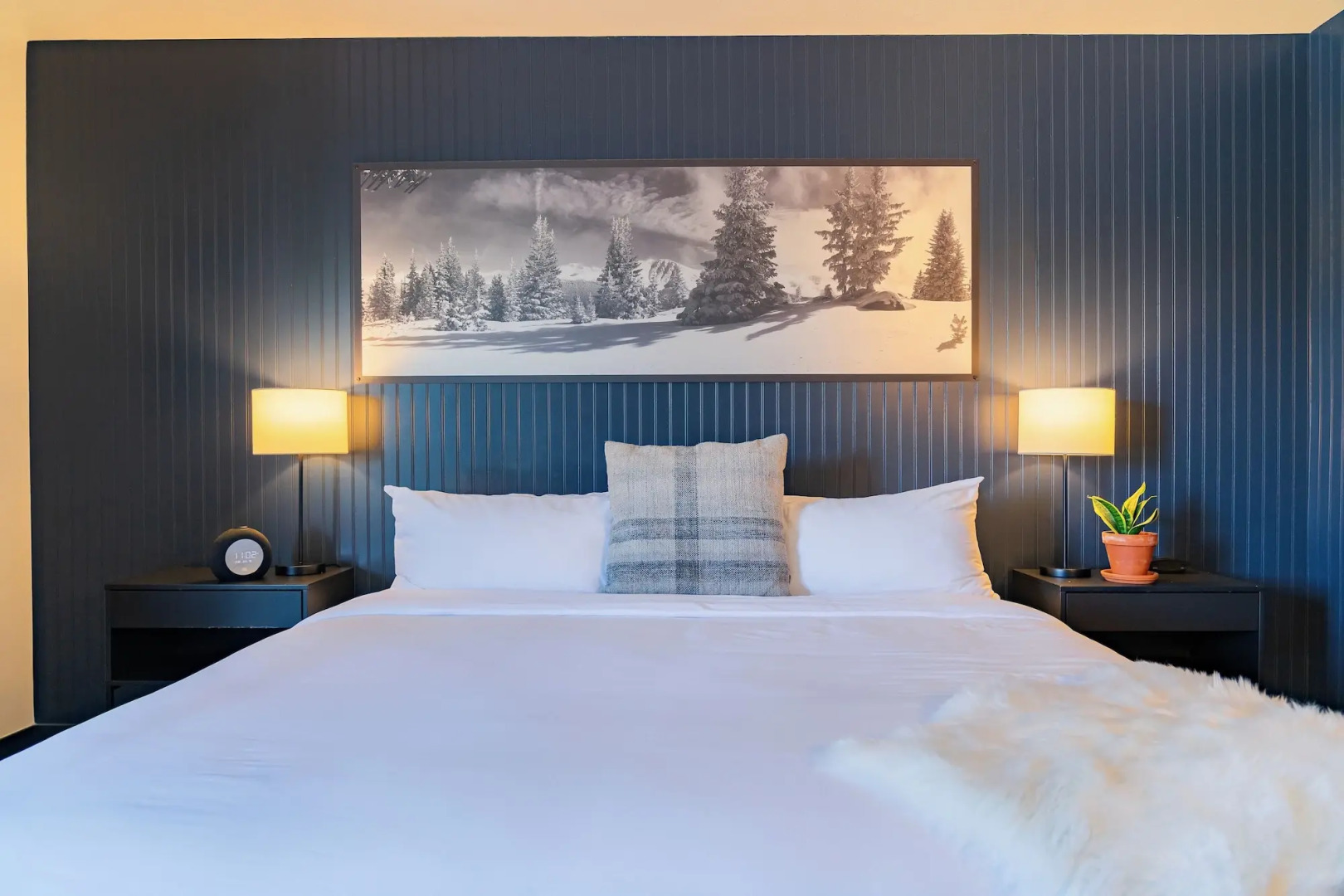 Gravity Haus Winter Park