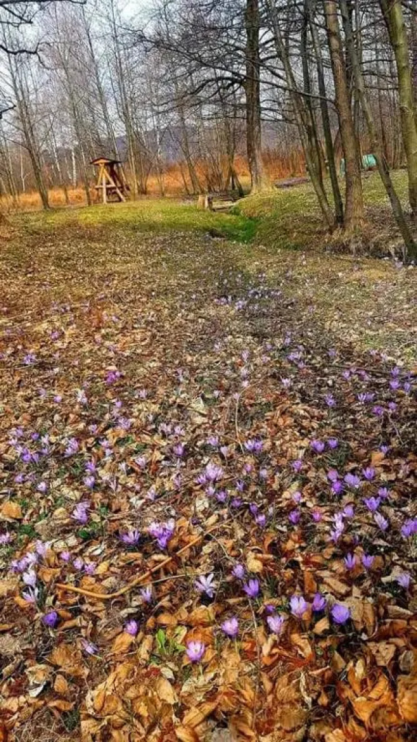 Pensiunea Casa Noastra