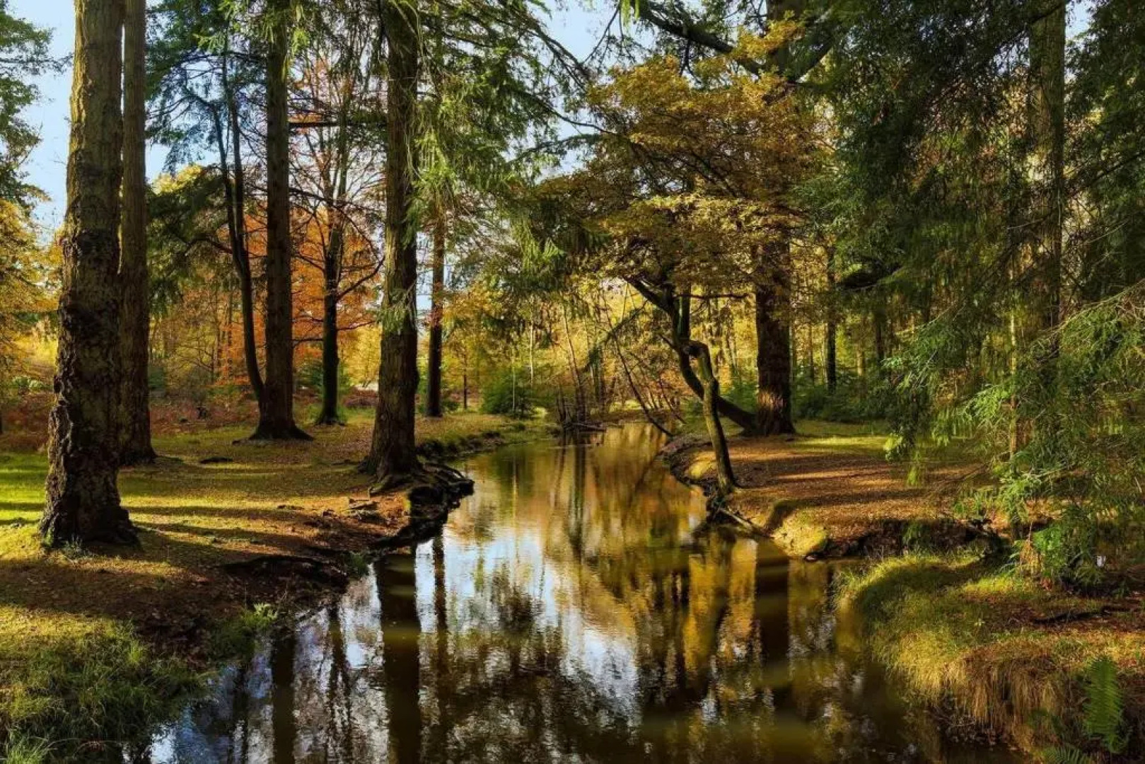 The Annex at Barton on Sea