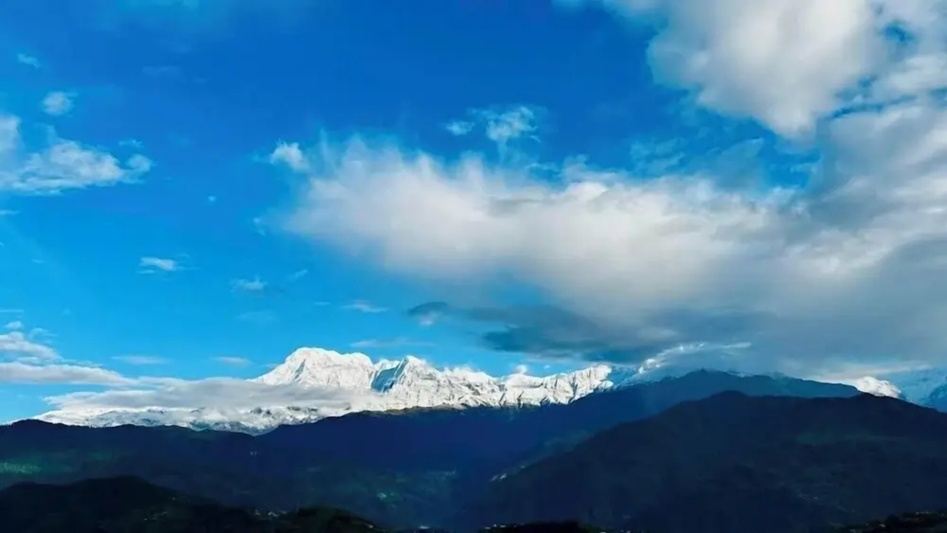 Moonlight Homestay And Camping Site