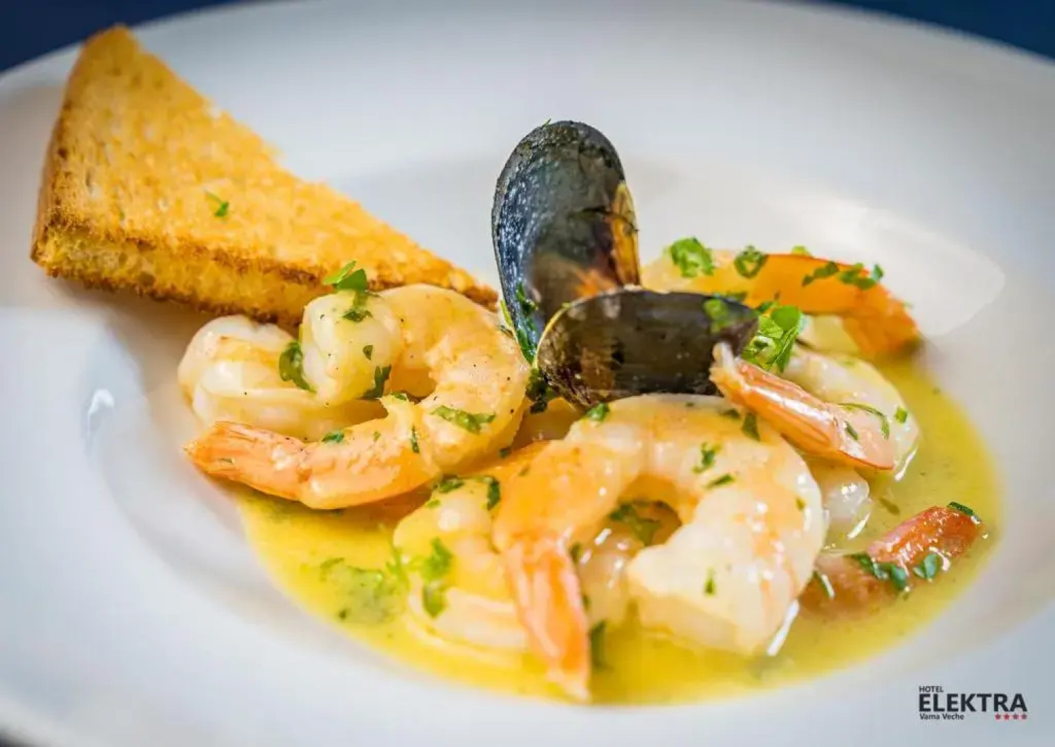 Vilele Marii Vama Veche