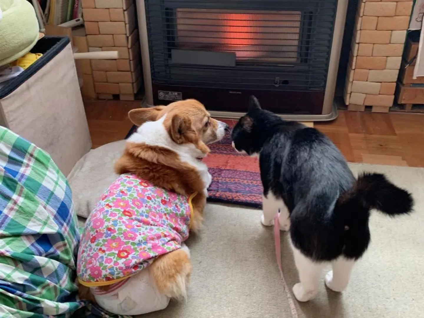 Otarunai Backpackers' Hostel MorinoKi