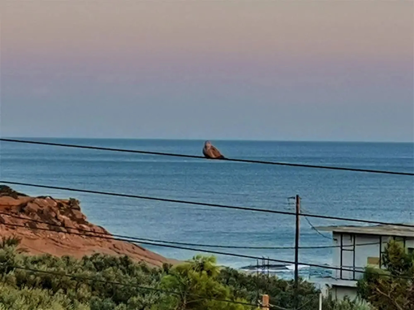 Apartments With sea View in Creta Ierapetra