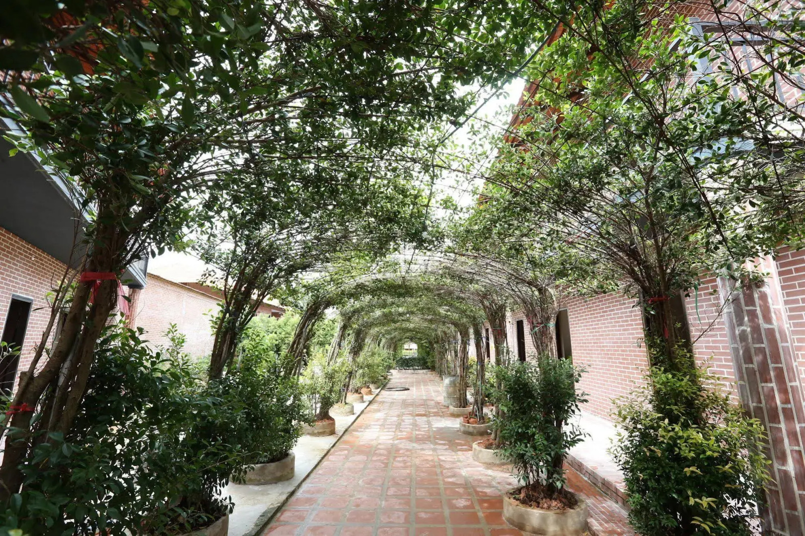 Countryside Resort Phu Quoc