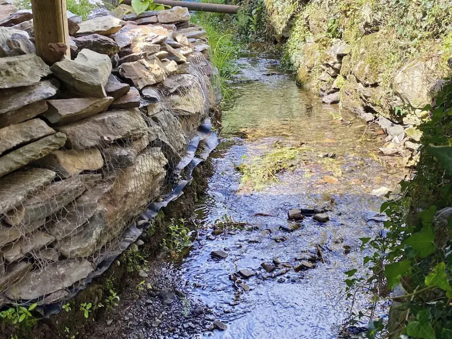 Shooting Star Cottage