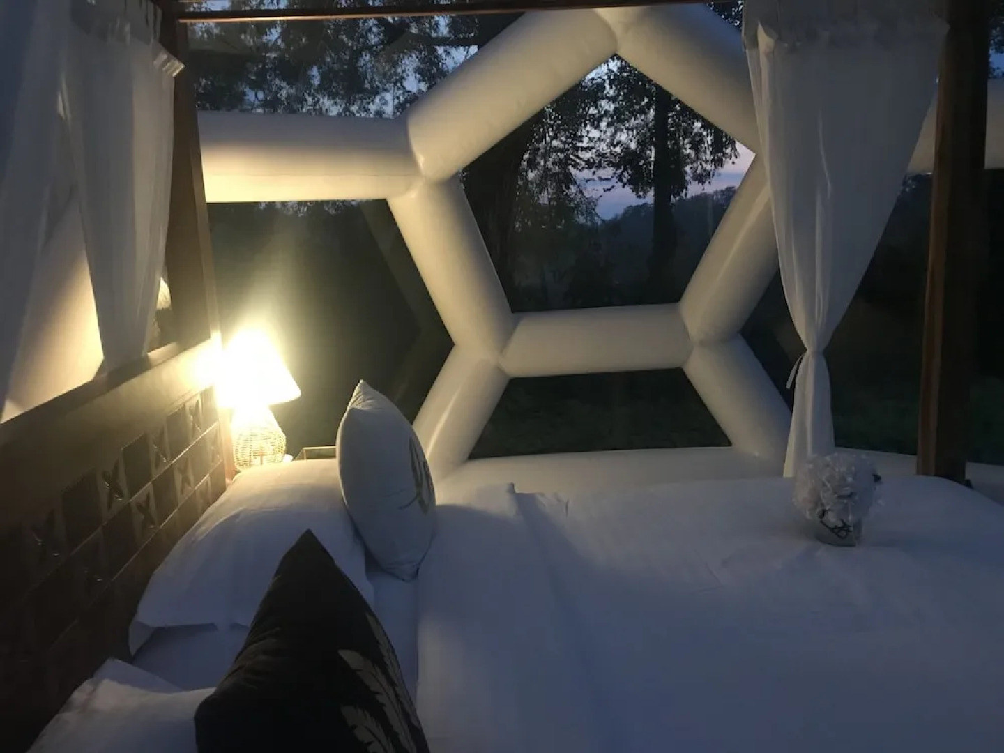 Jungle Bubble Lodge Ubud - Campsite