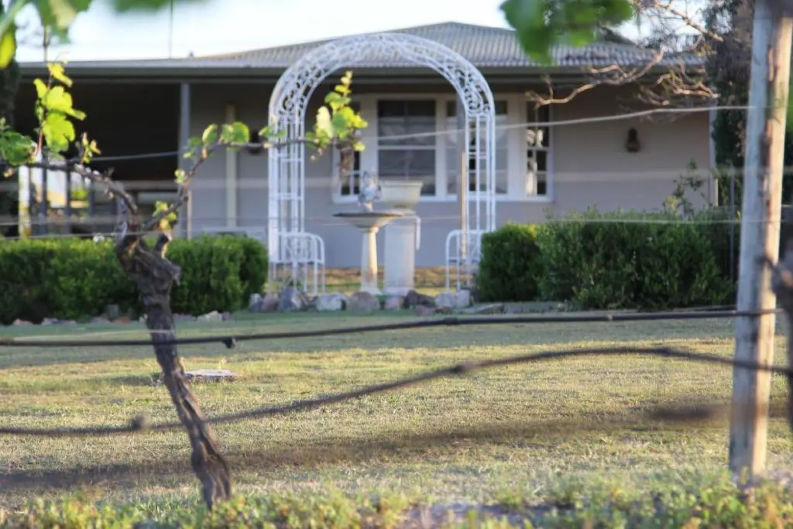 Blueberry Hill Vineyard Studio Rose Room