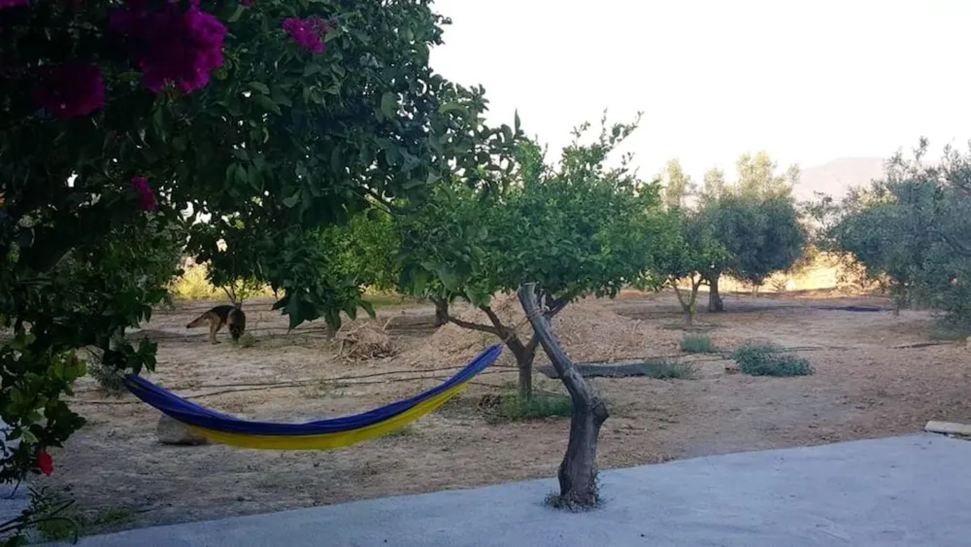 Villa With 5 Bedrooms in Alhama de Almería, With Wonderful Mountain View, Private Pool, Terrace