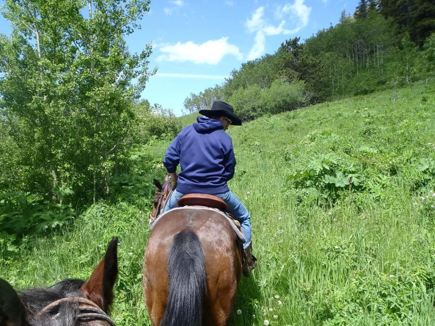 Rocking R Guest Ranch