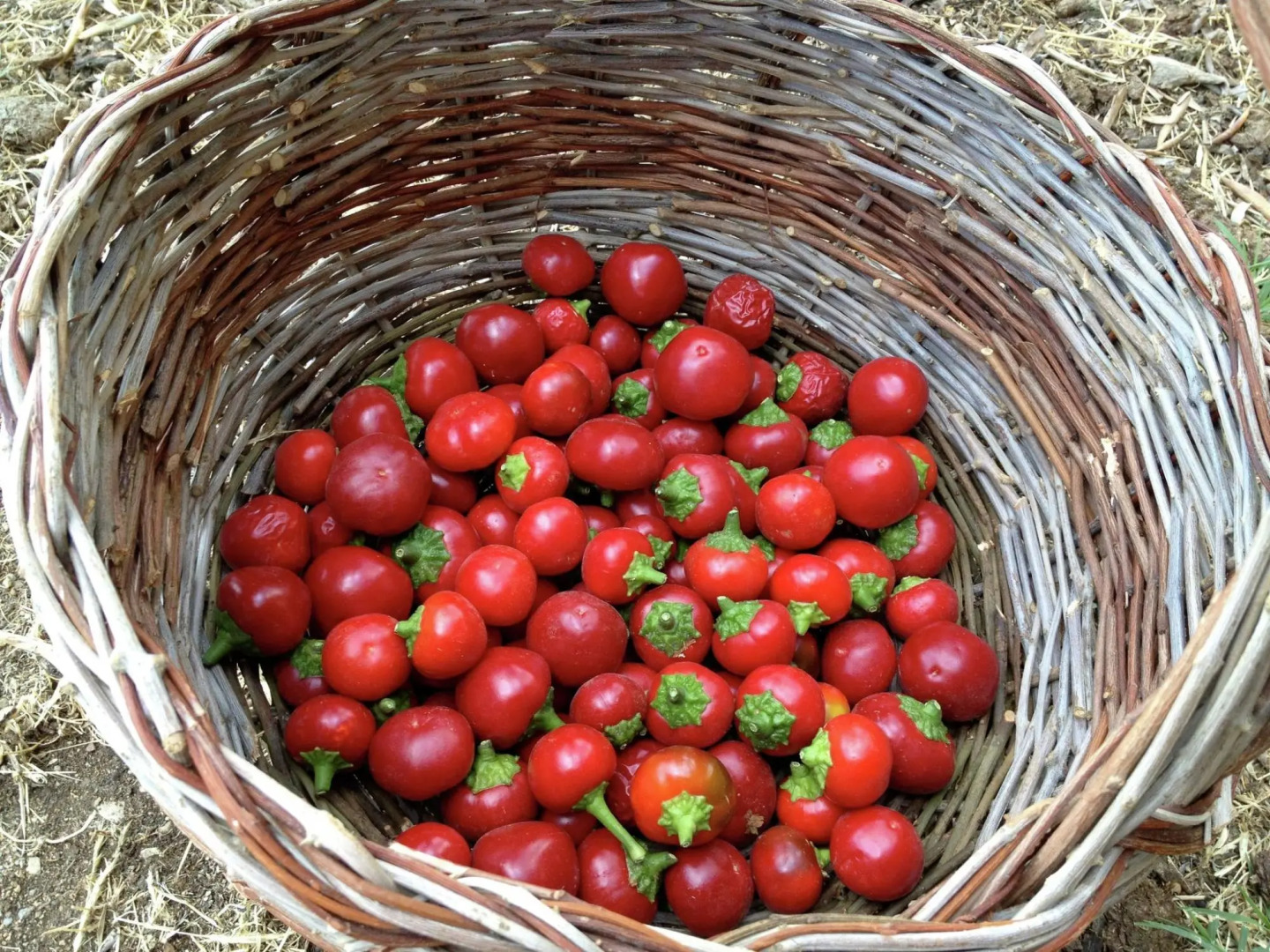 Belvilla by OYO Casaletto Graffi