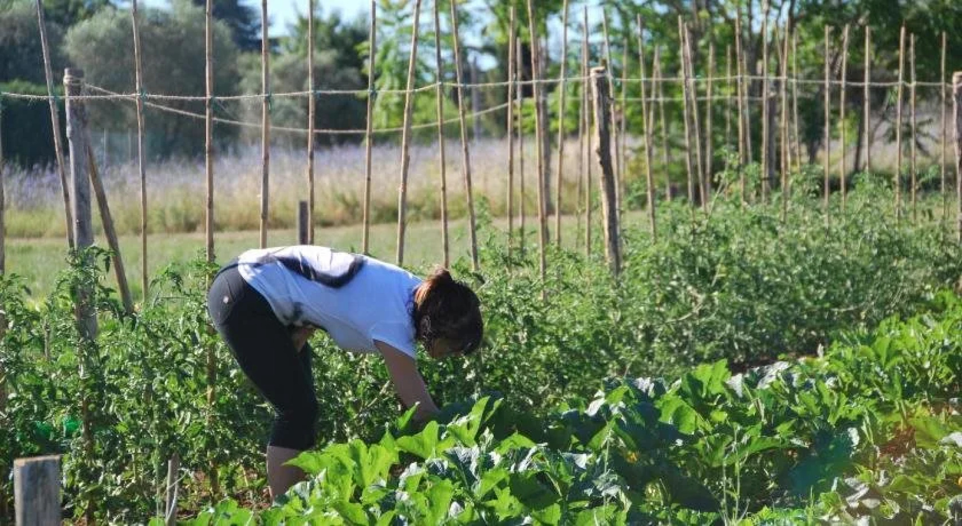 Country House Le Torri di Porsenna