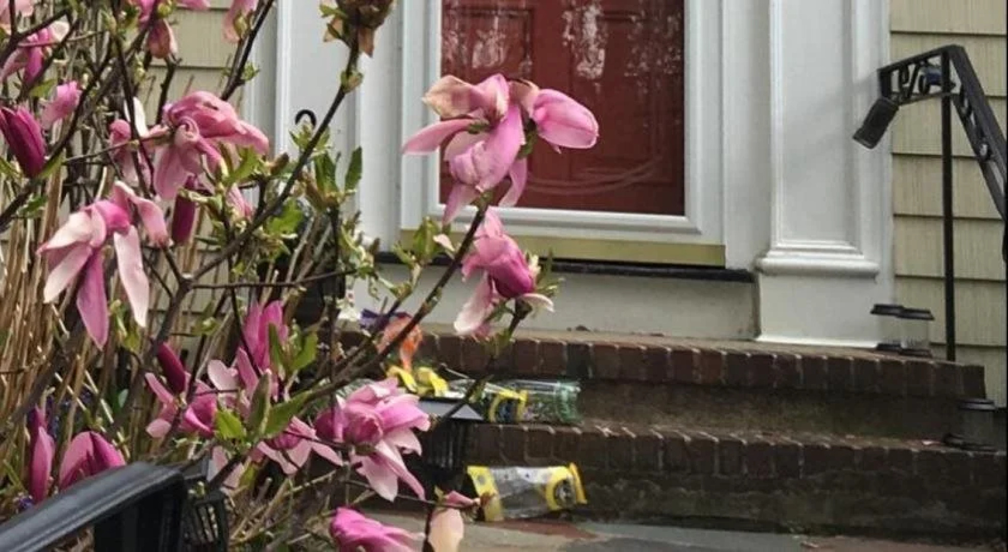 Wellesley Bed and Breakfast