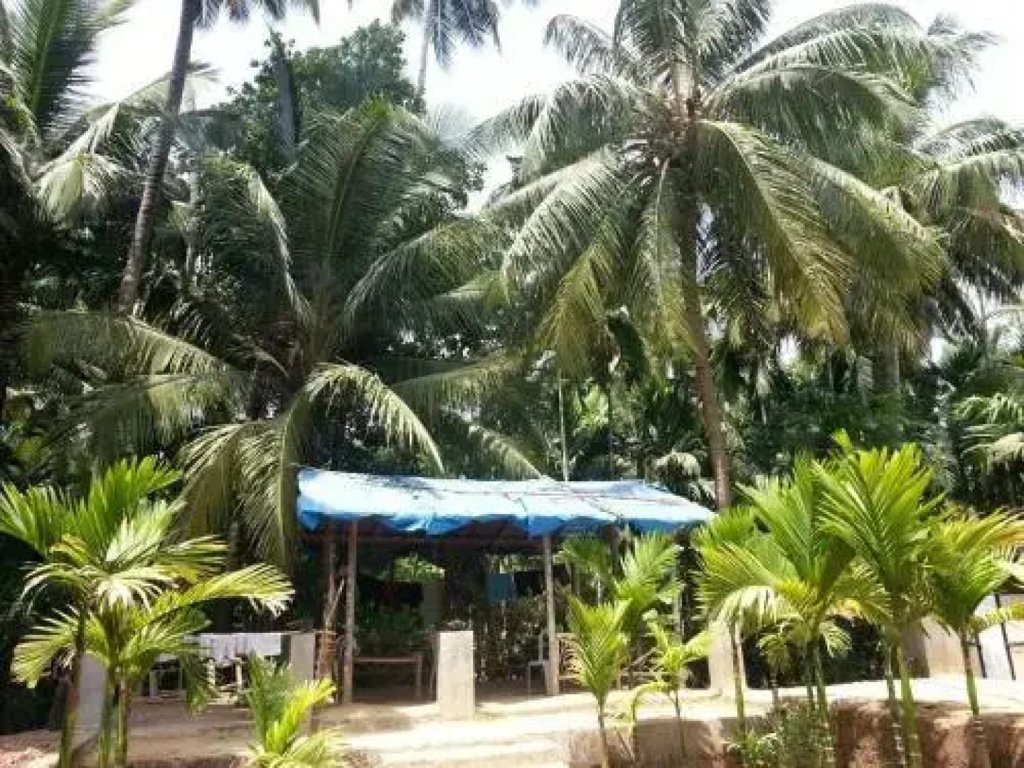 Tendulkar Beach Resort