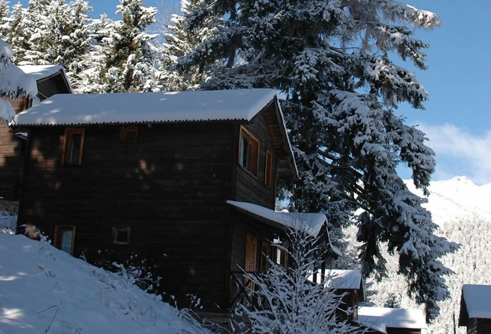 Hamsiköy Zitaş Bungalov & Restoran