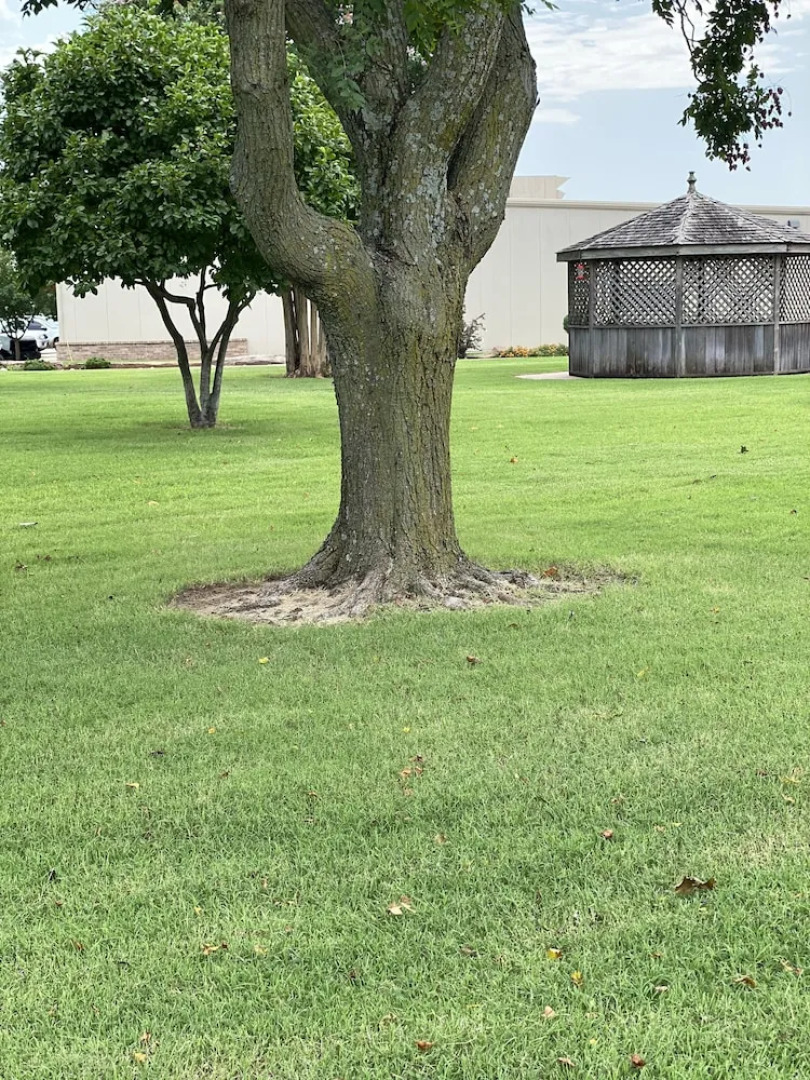 Thunderbird Lodge, Norman, OK