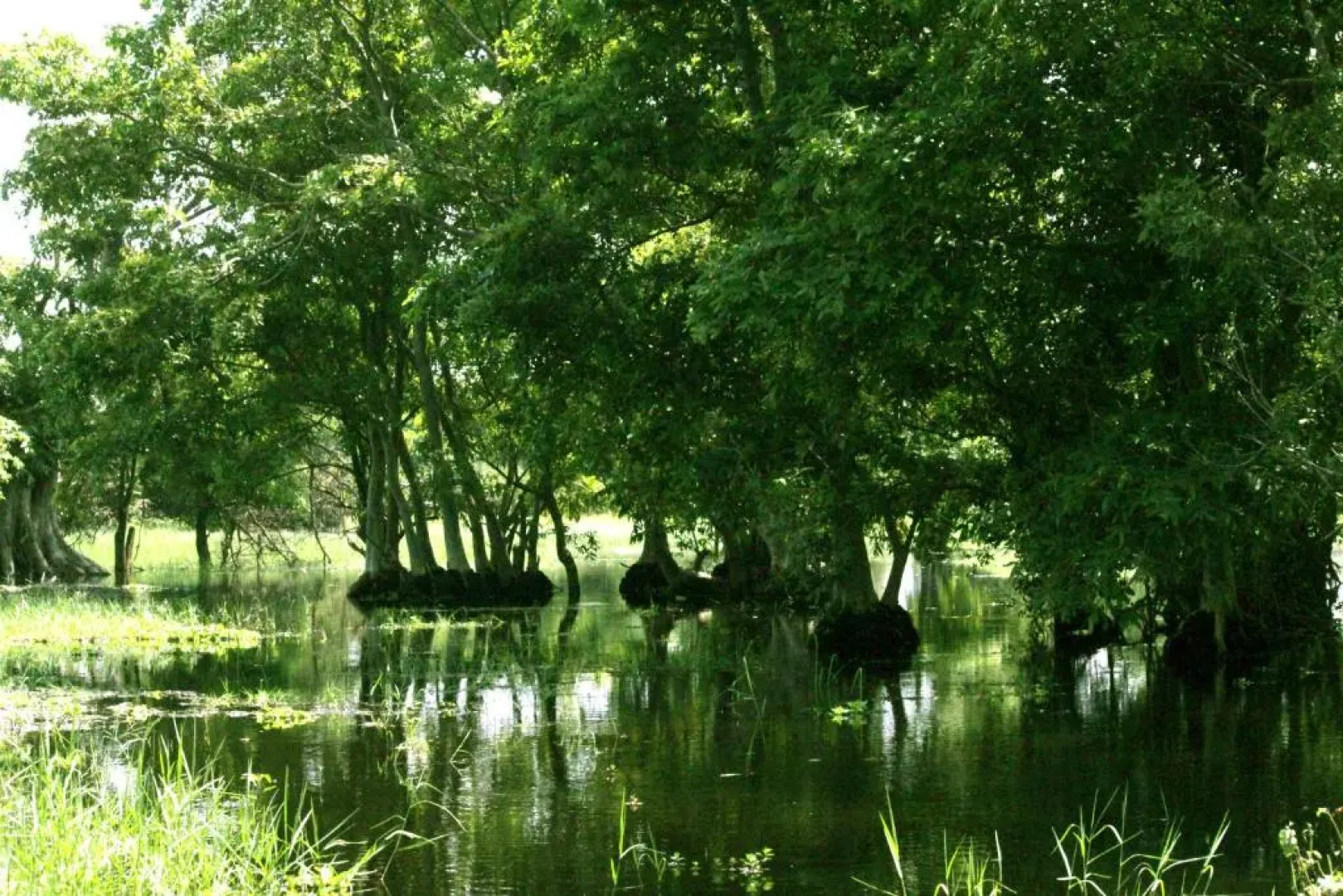 Athreya Ayurveda Ashram