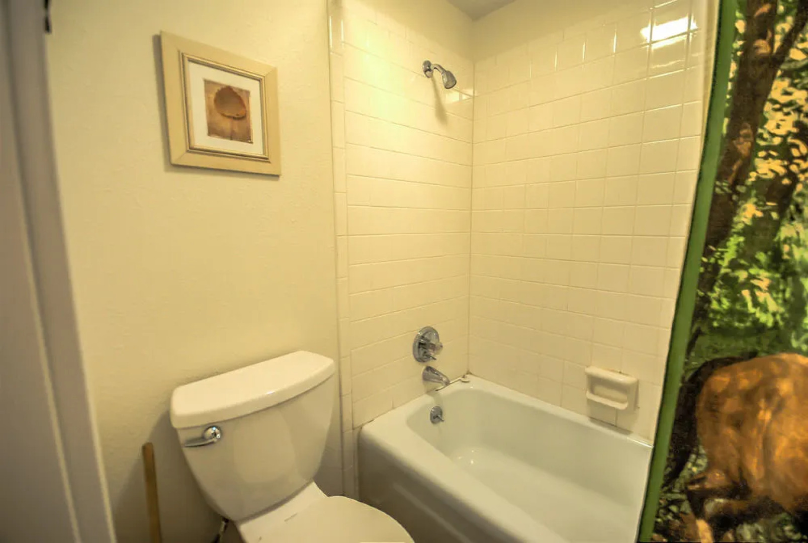 The Rockies by Retreatia