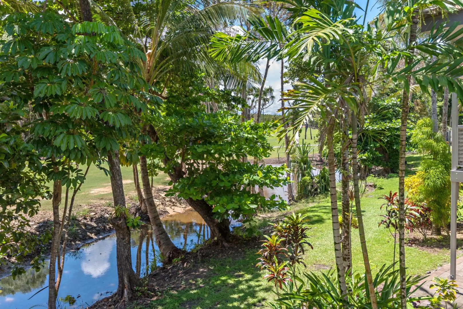 Reeforest☆2 pools☆spa☆hammock☆scooters☆WiFi☆Netflix☆parking☆
