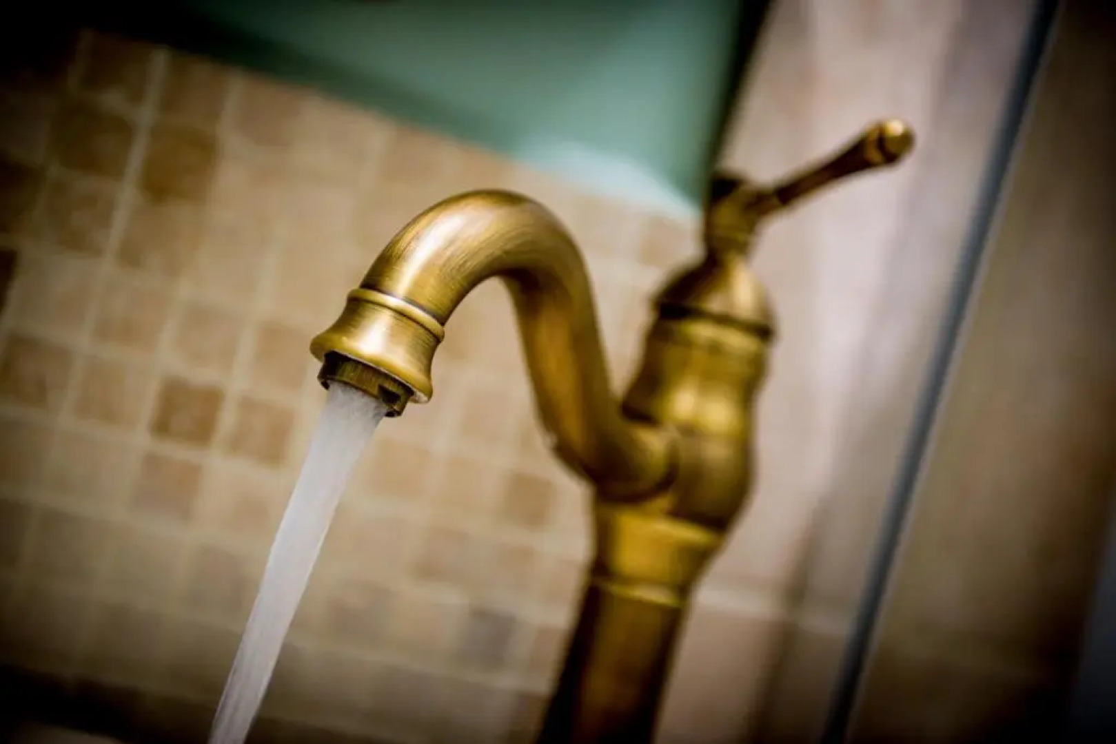 Wesley House Holidays - Choice of 2 Quirky Cottages in 4 private acres