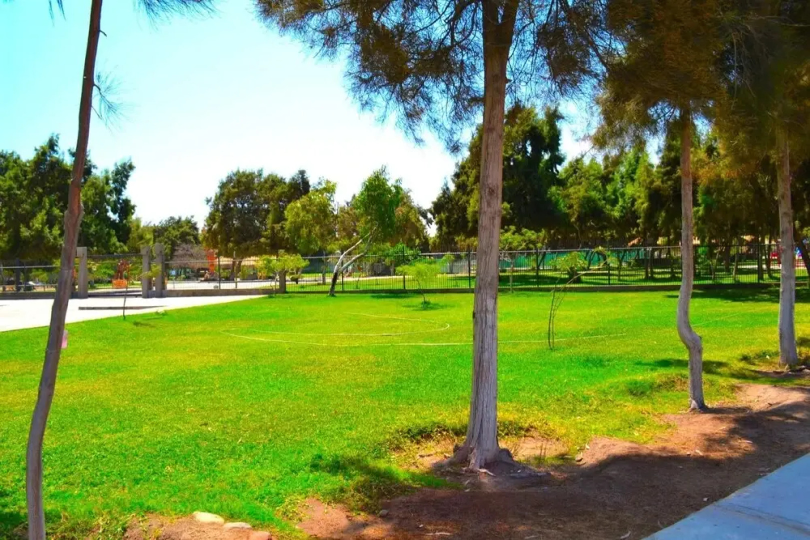 Apartamentos Alma Socoroma