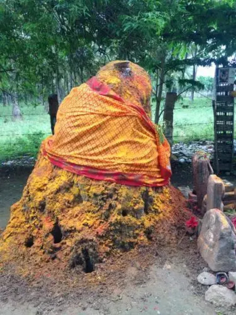 Tranquility Guest House