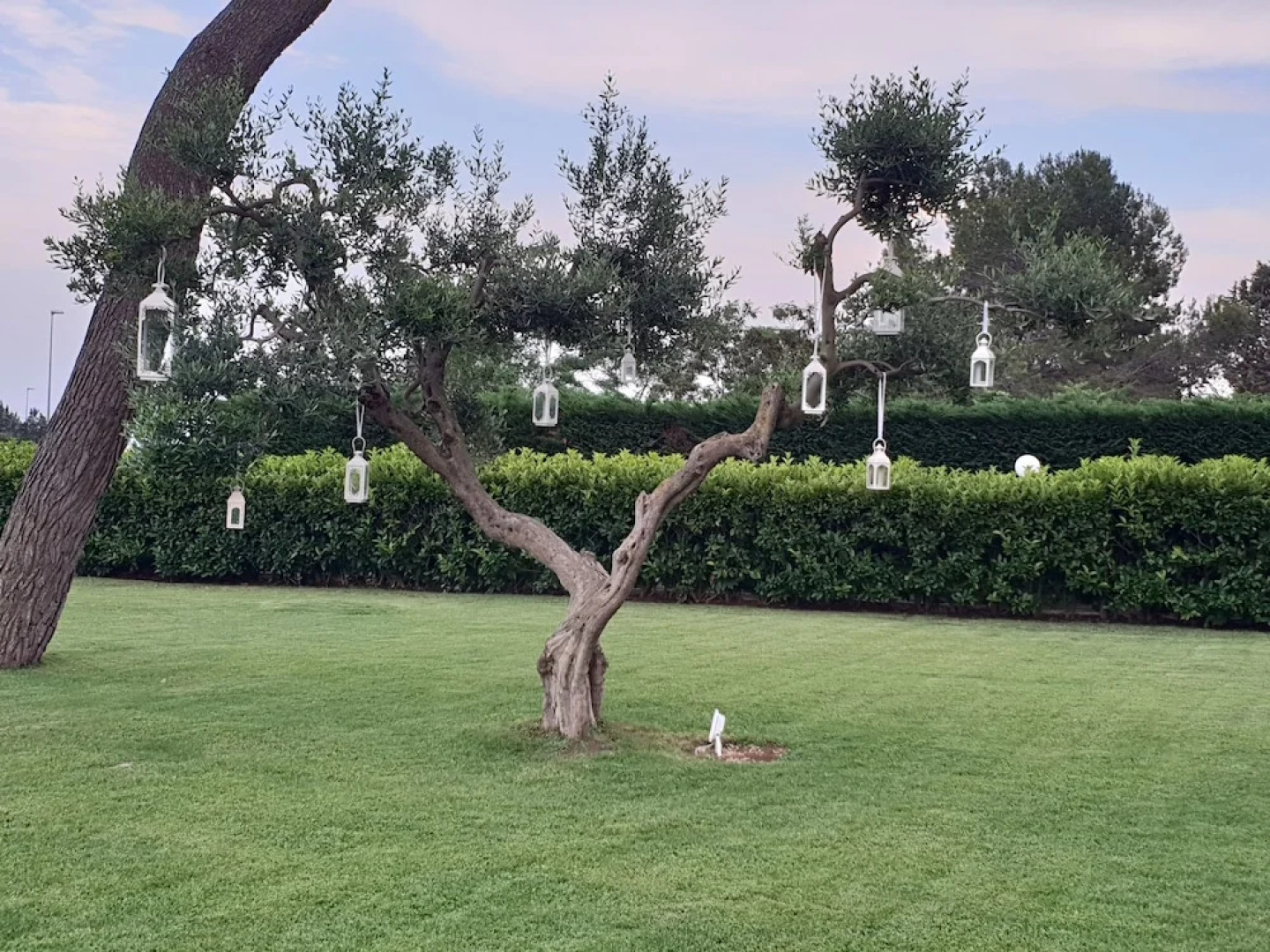 Hotel Villa Petruscio